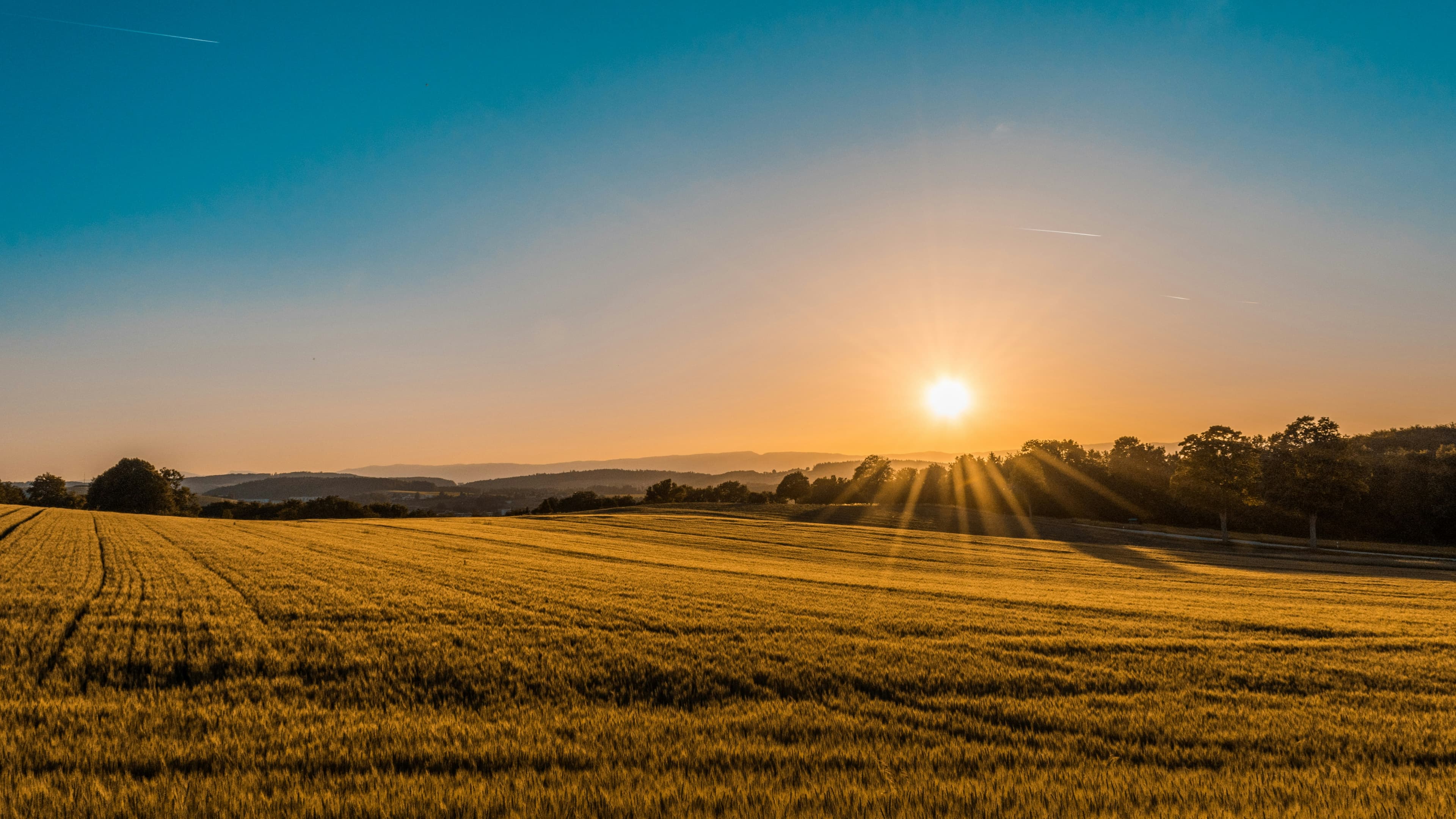 10 Sustainable Farming Practices to Implement This Year